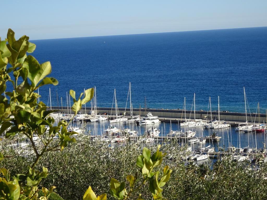 Villetta Sole Mare Santo Stefano al Mare Eksteriør bilde